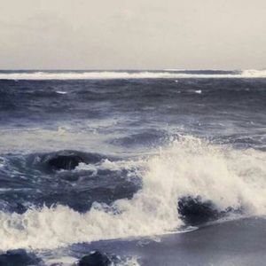 Meet your Posher, Daya